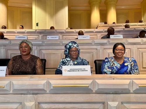 Notícia